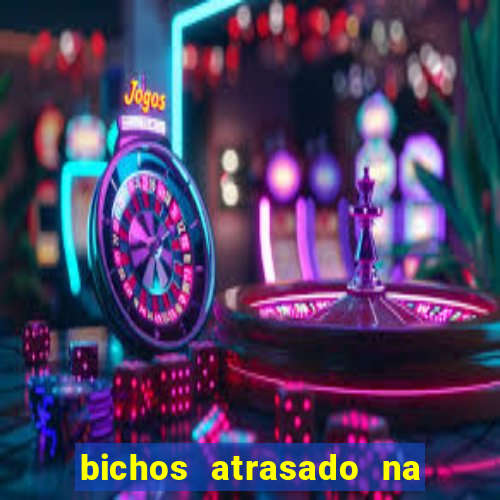 bichos atrasado na loteria dos sonhos